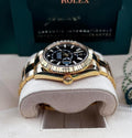 Rolex Sky-Dweller NEW RELEASE 2023 Sky-Dweller 18KT BRIGHT BLACK 336938